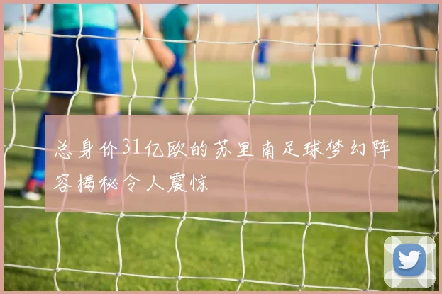 总身价31亿欧的苏里南足球梦幻阵容揭秘令人震惊